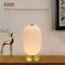 Inteligentna latarnia Lampa stołowa Dekoracyjna aplikacja Tuya Alexa Google Smart WiFi LED Light