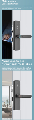 Glomarket Apartamentowy Zamek Pokój Odcisk palców Smart Door Lock Ble Password Keyless App Control Cyfrowe zamki drzwiowe