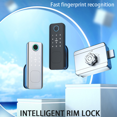 Glomarket Bezpieczeństwo zewnętrzne Inteligentny klucz cyfrowy Odcisk palca Hasło Smart Rim Door Lock For Gate Front Door