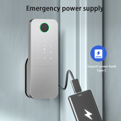 Glomarket Outdoor Elektroniczny Inteligentny Odcisk Palca Hasło Cyfrowy Zamek Tuya Ttlock Inteligentny Zamek Drzwi