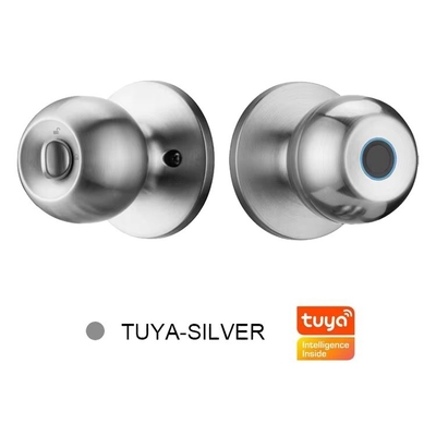 Glomarket Sprzedaż hurtowa Inteligentny zaokrąglony guzik zamknięty bez klucza Smart Door Handle Lock Tuya App Control