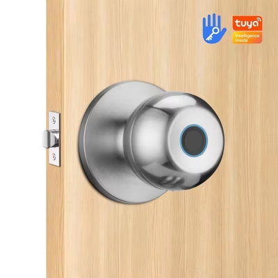 Glomarket Sprzedaż hurtowa Inteligentny zaokrąglony guzik zamknięty bez klucza Smart Door Handle Lock Tuya App Control