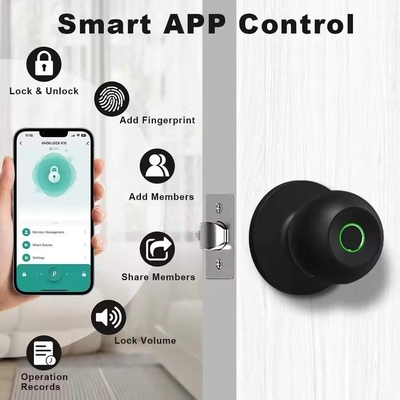 Glomarket Sprzedaż hurtowa Inteligentny zaokrąglony guzik zamknięty bez klucza Smart Door Handle Lock Tuya App Control