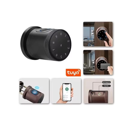 Glomarket Nowy styl Tuya App Control Smart Lock Door Odcisk palca Hasło Dom Hotel Apartament Elektroniczny Smart Door Knob Lock