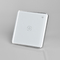 Przełącznik światła Wifi Smart Wall 2 Gang 800W Inteligentne przełączniki światła Google Home