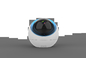 CMOS ONVIF Inteligentna kamera śledząca Ptz Kamera Tuya Smart Life 720P 1080P